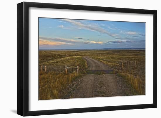 Knowing Which Cattle Guard to Cross-Amanda Lee Smith-Framed Photographic Print