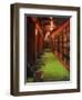 Knowledge Alley-Pam Ingalls-Framed Giclee Print