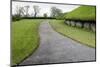 Knowth-Severas-Mounted Photographic Print