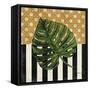 Knox Palm Fronds II-Paul Brent-Framed Stretched Canvas