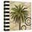 Knox Palm Tree I-Paul Brent-Stretched Canvas