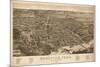 Knoxville, Tennessee - Panoramic Map-Lantern Press-Mounted Art Print