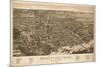 Knoxville, Tennessee - Panoramic Map-Lantern Press-Mounted Premium Giclee Print