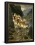 Essential Black