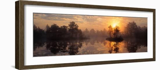 Knuthojdmossen Nature Reserve Sweden-null-Framed Photographic Print