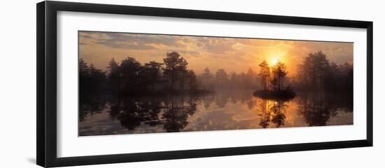 Knuthojdmossen Nature Reserve Sweden-null-Framed Photographic Print