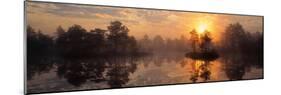 Knuthojdmossen Nature Reserve Sweden-null-Mounted Photographic Print