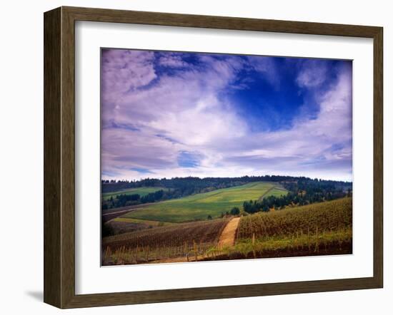 Knutsen Vineyard in the Red Hills of the Willamette Valley, Oregon, USA-Janis Miglavs-Framed Premium Photographic Print