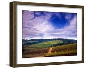 Knutsen Vineyard in the Red Hills of the Willamette Valley, Oregon, USA-Janis Miglavs-Framed Premium Photographic Print