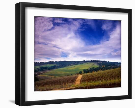 Knutsen Vineyard in the Red Hills of the Willamette Valley, Oregon, USA-Janis Miglavs-Framed Premium Photographic Print