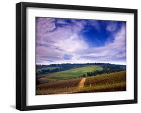 Knutsen Vineyard in the Red Hills of the Willamette Valley, Oregon, USA-Janis Miglavs-Framed Premium Photographic Print