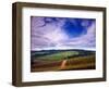 Knutsen Vineyard in the Red Hills of the Willamette Valley, Oregon, USA-Janis Miglavs-Framed Photographic Print