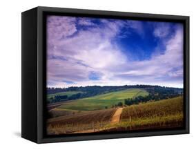 Knutsen Vineyard in the Red Hills of the Willamette Valley, Oregon, USA-Janis Miglavs-Framed Stretched Canvas