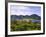 Ko Phi Phi Island, Andaman Sea, Thailand, Southeast Asia, Asia-Nico Tondini-Framed Photographic Print