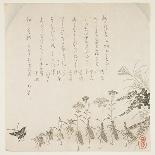 Autumn Leaves and Nuts, 1849-76-Ko Sukoku II-Laminated Giclee Print