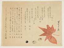 Autumn Leaves and Nuts, 1849-76-Ko Sukoku II-Laminated Giclee Print