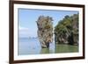 Ko Tapu Limestone Pinnacle Islet. Phang Nga Bay, Thailand, December 2010-Mark Taylor-Framed Photographic Print