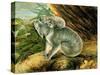 Koala and Young, 1803-John William Lewin-Stretched Canvas