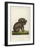 Koala Bear Carrying Its Young-Lecerf-Framed Art Print