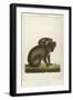 Koala Bear Carrying Its Young-Lecerf-Framed Art Print