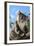 Koala Bear, Melbourne, Victoria, Australia, Pacific-Bhaskar Krishnamurthy-Framed Photographic Print