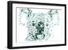 Koala Bear-Cristian Mielu-Framed Art Print