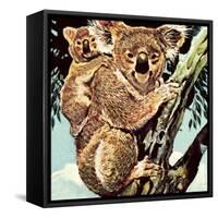 Koala Bear-English School-Framed Stretched Canvas