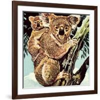 Koala Bear-English School-Framed Giclee Print