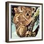 Koala Bear-English School-Framed Giclee Print