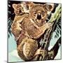 Koala Bear-English School-Mounted Giclee Print