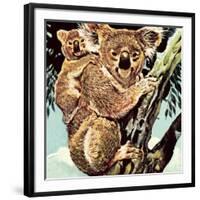 Koala Bear-English School-Framed Giclee Print