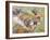 Koala Collage I-Elizabeth St. Hilaire-Framed Art Print