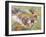 Koala Collage I-Elizabeth St. Hilaire-Framed Art Print