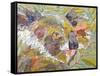 Koala Collage I-Elizabeth St. Hilaire-Framed Stretched Canvas