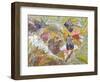 Koala Collage I-Elizabeth St. Hilaire-Framed Art Print