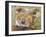 Koala Collage II-Elizabeth St. Hilaire-Framed Art Print