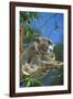 Koala Female and Young in Tree-null-Framed Photographic Print