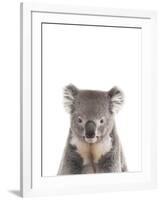 Koala Friend-Marco Simoni-Framed Giclee Print