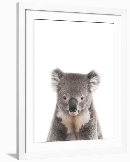 Koala Friend-Marco Simoni-Framed Giclee Print