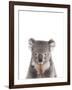 Koala Friend-Marco Simoni-Framed Giclee Print