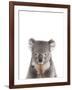 Koala Friend-Marco Simoni-Framed Giclee Print