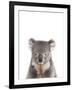 Koala Friend-Marco Simoni-Framed Giclee Print