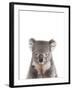 Koala Friend-Marco Simoni-Framed Giclee Print