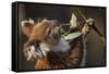 Koala in Eucalyptus Tree in Great Otway National Park-Paul Souders-Framed Stretched Canvas