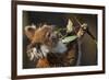 Koala in Eucalyptus Tree in Great Otway National Park-Paul Souders-Framed Photographic Print