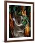 Koala on Eucalyptus, Featherdale Wildlife Park, Sydney, Australia-Cindy Miller Hopkins-Framed Photographic Print