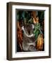 Koala on Eucalyptus, Featherdale Wildlife Park, Sydney, Australia-Cindy Miller Hopkins-Framed Photographic Print