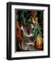 Koala on Eucalyptus, Featherdale Wildlife Park, Sydney, Australia-Cindy Miller Hopkins-Framed Photographic Print