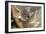 Koala Young, Clinging to Mother's Fur-null-Framed Photographic Print