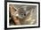 Koala Young, Clinging to Mother's Fur-null-Framed Photographic Print